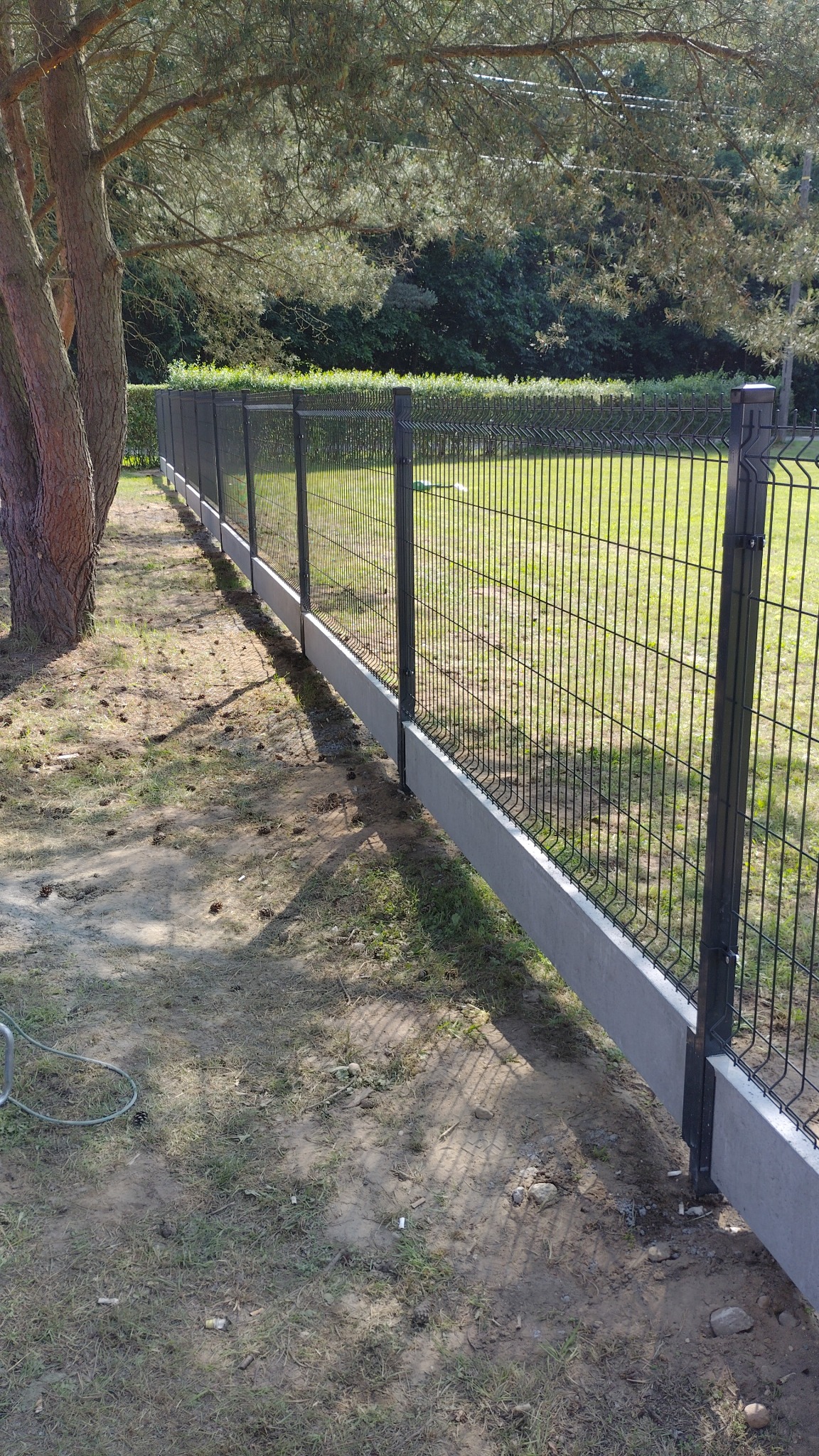 Nowoczesne ogrodzenie panelowe z podmurówką betonową, widok z perspektywy ziemi, z drzewem po lewej stronie i zielenią w tle. Elementy metalowe w kolorze grafitowym.