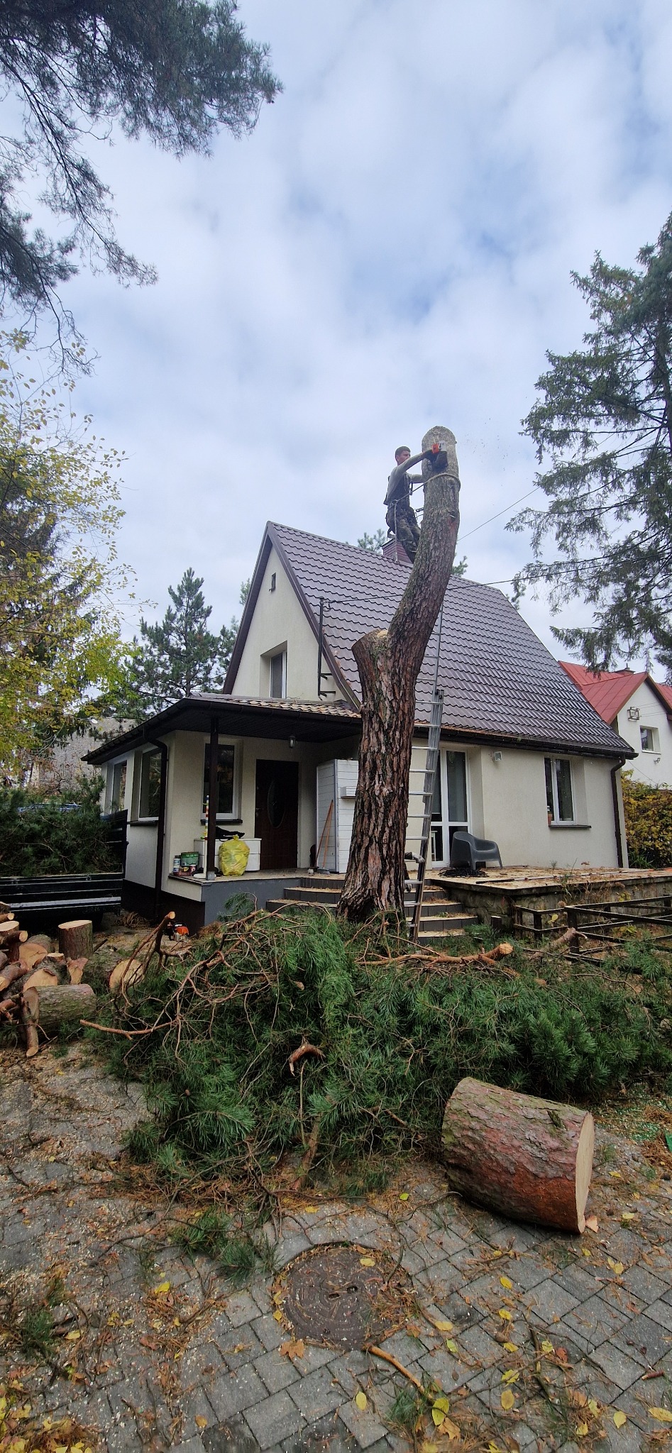 Mężczyzna w trakcie wycinki wysokiego drzewa przy domu jednorodzinnym. Widoczne ścięte gałęzie i pień. Praca na wysokości z użyciem drabiny i piły spalinowej.