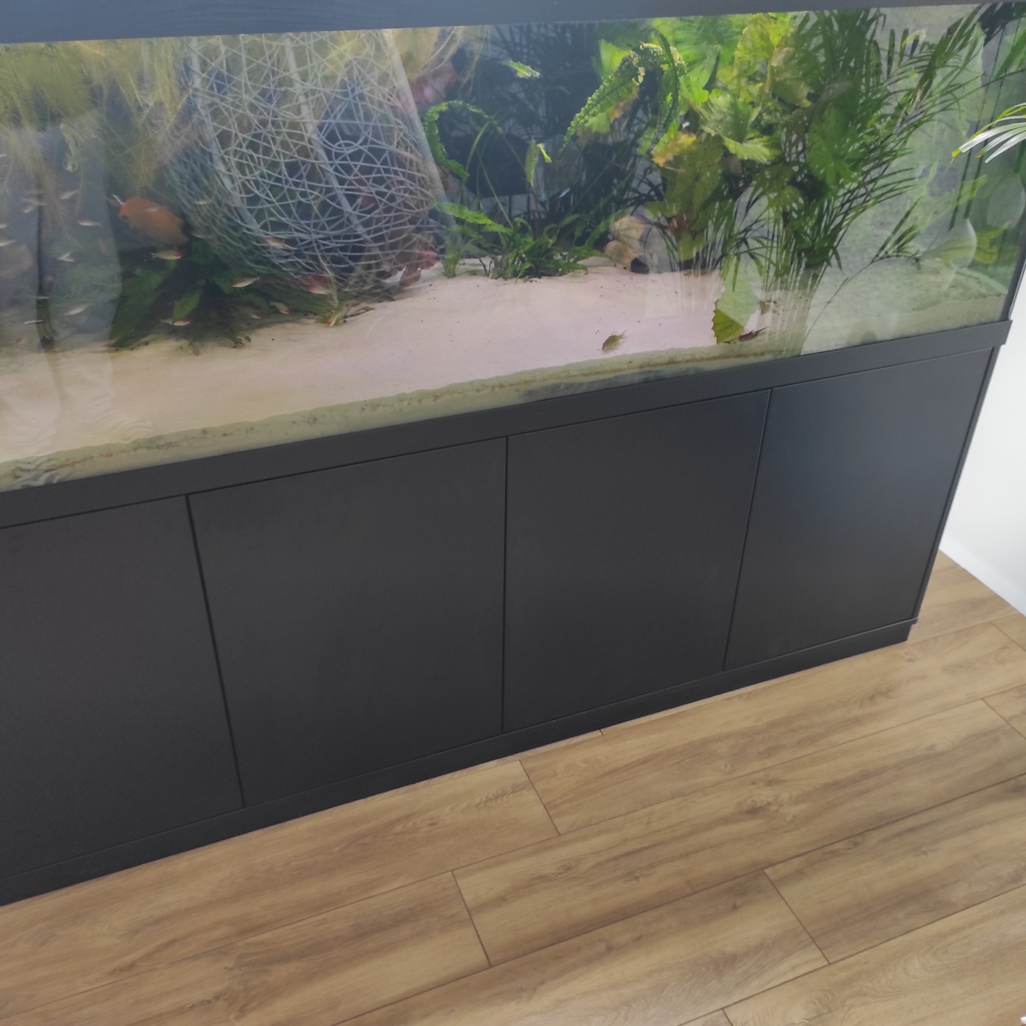 Nowoczesne akwarium z czarną szafką na drewnianej podłodze. Wnętrze akwarium z piaskiem, roślinami i rybami. Minimalistyczny design.