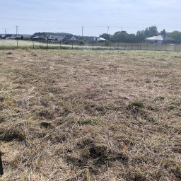 Wycinka drzew Gryfice 1