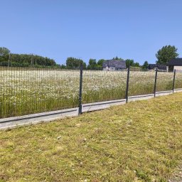 Wycinka drzew Gryfice 4