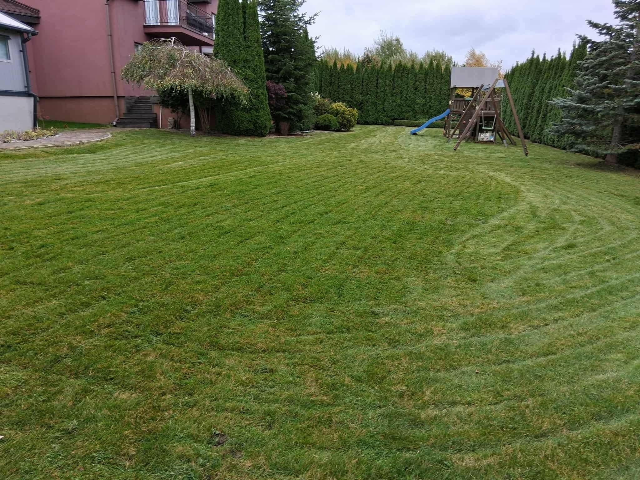 Perfekcyjnie skoszony trawnik z wyraźnymi pasami, otoczony tujami i drzewami. W tle widoczny plac zabaw i budynek mieszkalny. Trawa krótko przystrzyżona.