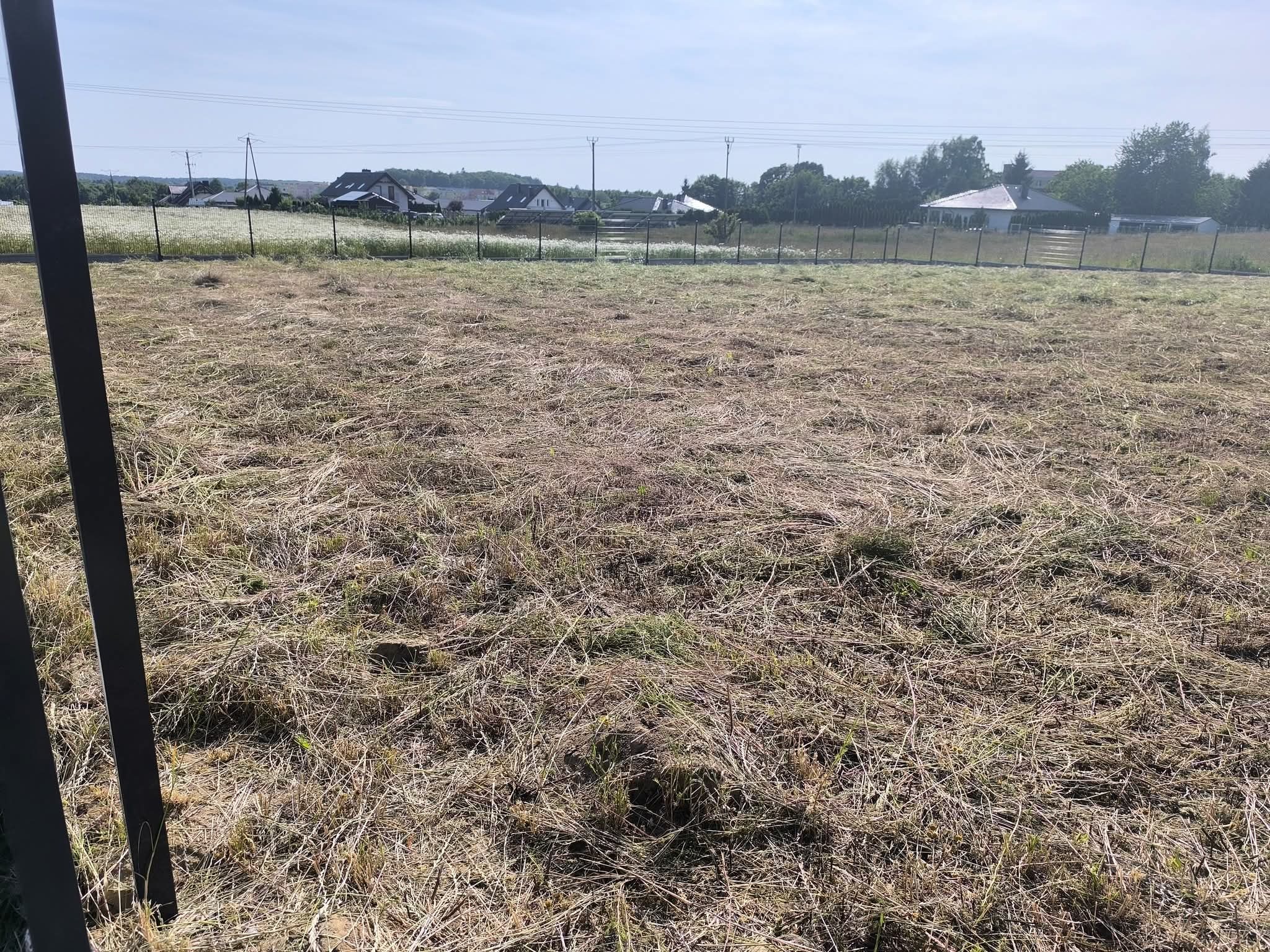 Świeżo skoszone pole w Gryficach. Widoczne resztki trawy, ogrodzenie i zabudowania w tle. Słoneczny dzień, perspektywa z poziomu gruntu.