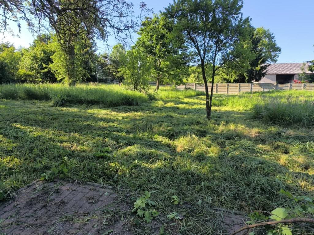 Świeżo skoszone pole z drzewami w tle, widoczne resztki trawy i fragmenty gałęzi. Częściowo skoszona trawa, w tle budynek gospodarczy i ogrodzenie.