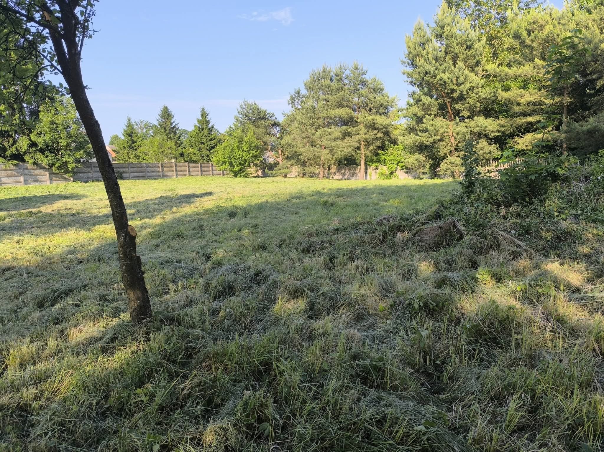 Świeżo skoszone pole trawy z widocznym pniem drzewa w lewym rogu, otoczone drzewami i ogrodzeniem w tle, w słoneczny dzień.