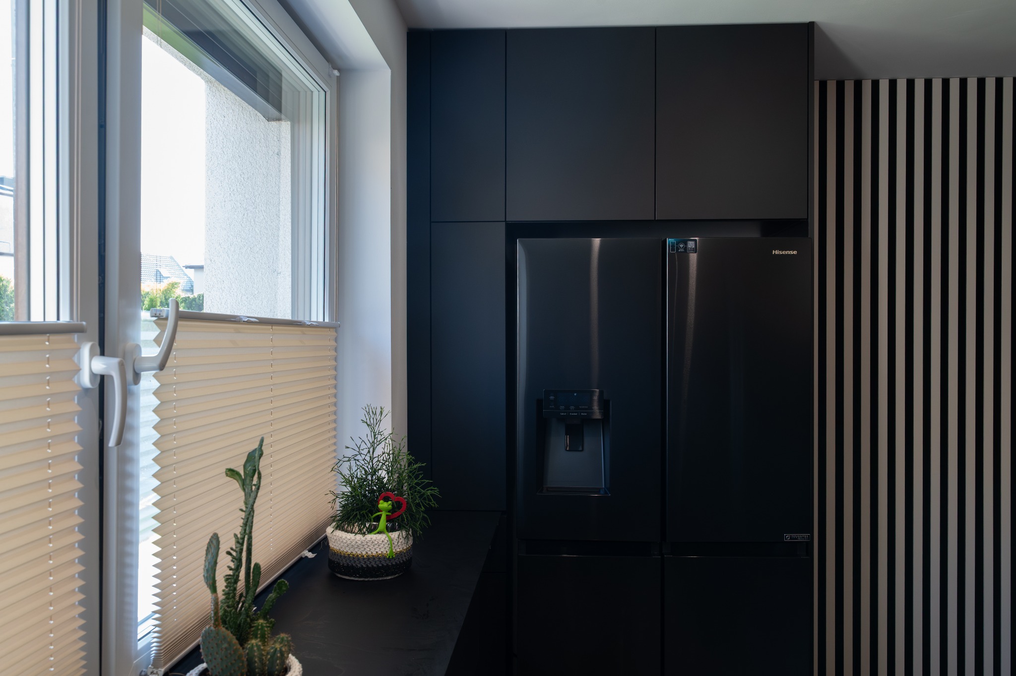 Ciemna zabudowa kuchenna z lodówką Hisense, minimalistyczny design. Rośliny w doniczkach na blacie. Realizacja z Łobodno. Nowoczesne meble.