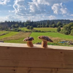 Atom - Dwa borowiki na drewnianej konstrukcji z widokiem na zielone pola i las w tle, pod błękitnym niebem z chmurami. Elementy konstrukcji są świeżo obrobione.