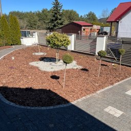 Mariusz Andrzejewski - Ogród z korą, ozdobnymi drzewkami i kamieniami, otoczony kostką brukową i nowoczesnym ogrodzeniem. Słoneczny dzień, błękitne niebo.