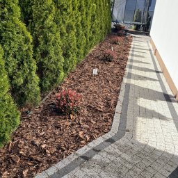 Mariusz Andrzejewski - Ogród po pielęgnacji: rząd tuj, kora, ozdobne krzewy i kostka brukowa. Widok na zadbany teren zielony i ścieżkę.