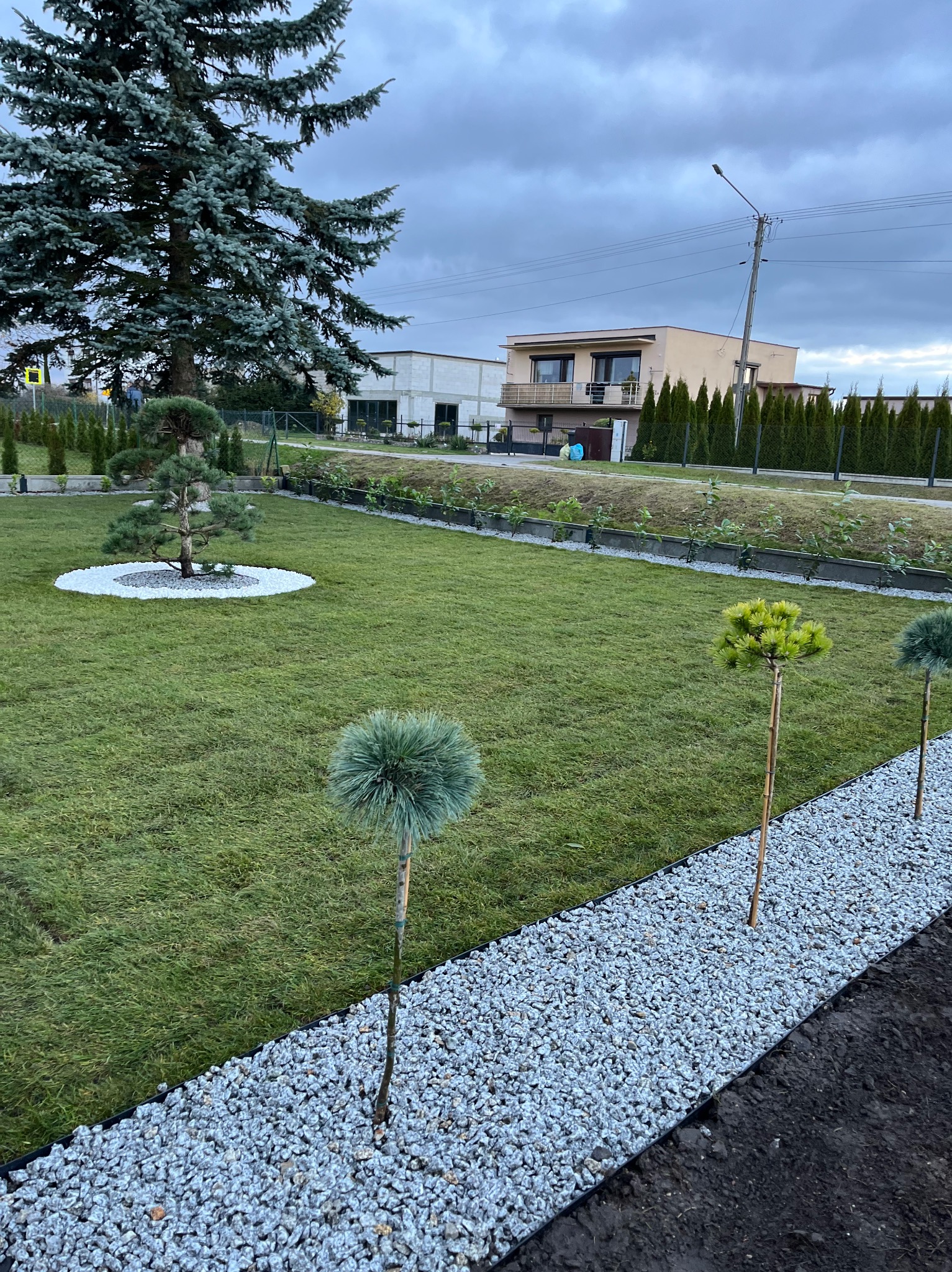 Zadbany ogród z równo przystrzyżonym trawnikiem, ozdobnymi drzewkami i ścieżką z białego żwiru. W tle dom jednorodzinny i wysokie tuje.