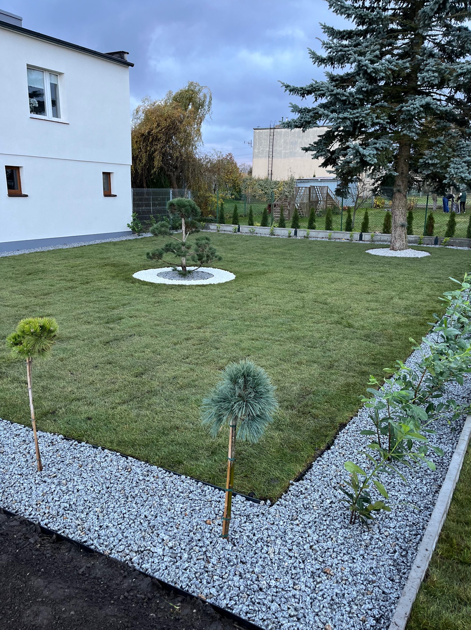 Zadbany trawnik z ozdobnymi drzewkami i rabatami wysypanymi grysem. W tle biały budynek i drzewa liściaste. Widok na ogród po realizacji.