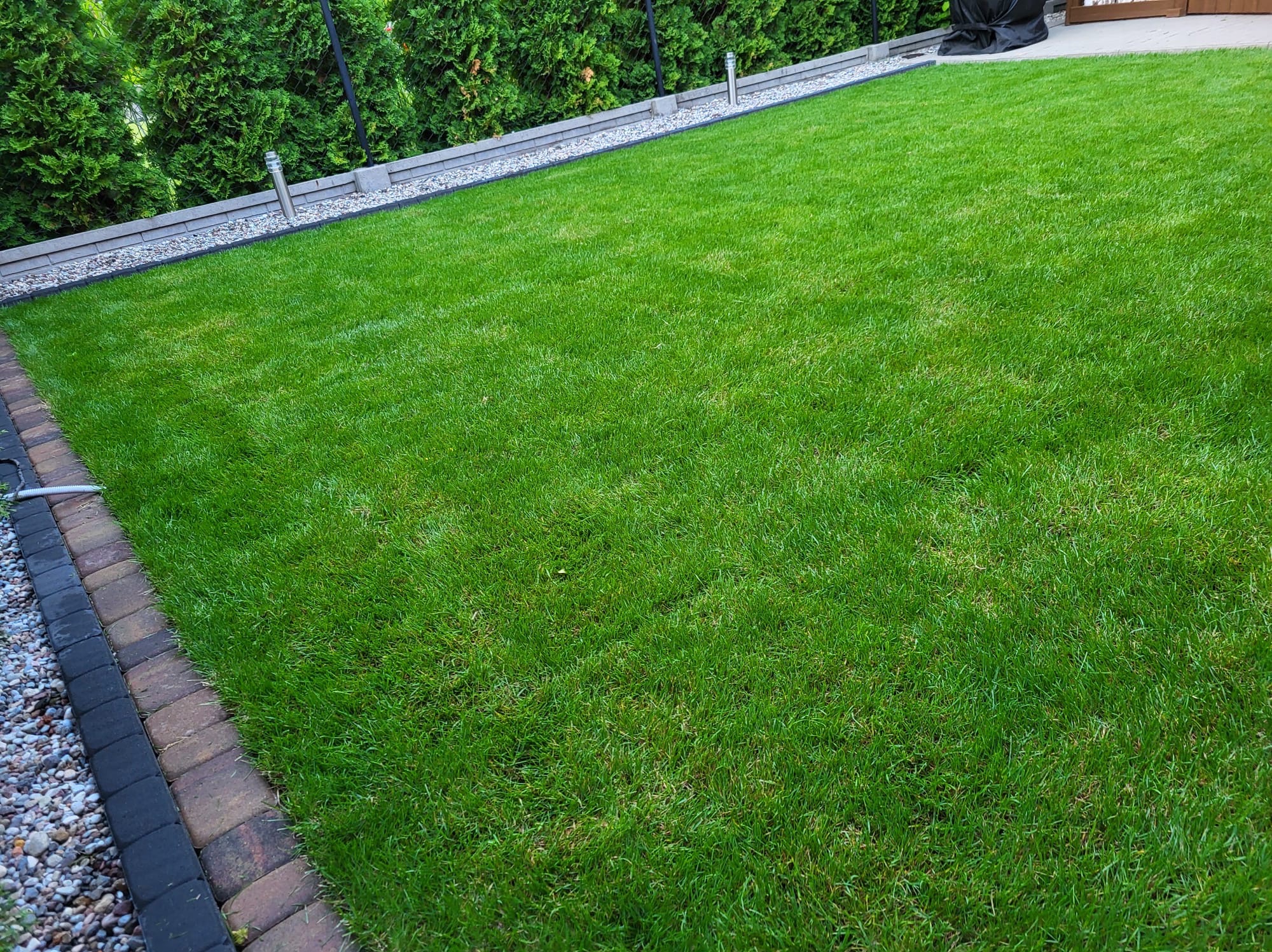 Zadbany trawnik z równo przystrzyżoną trawą, obrzeżem z kostki i kamieniami, oraz tujami w tle. Widoczne lampy ogrodowe.