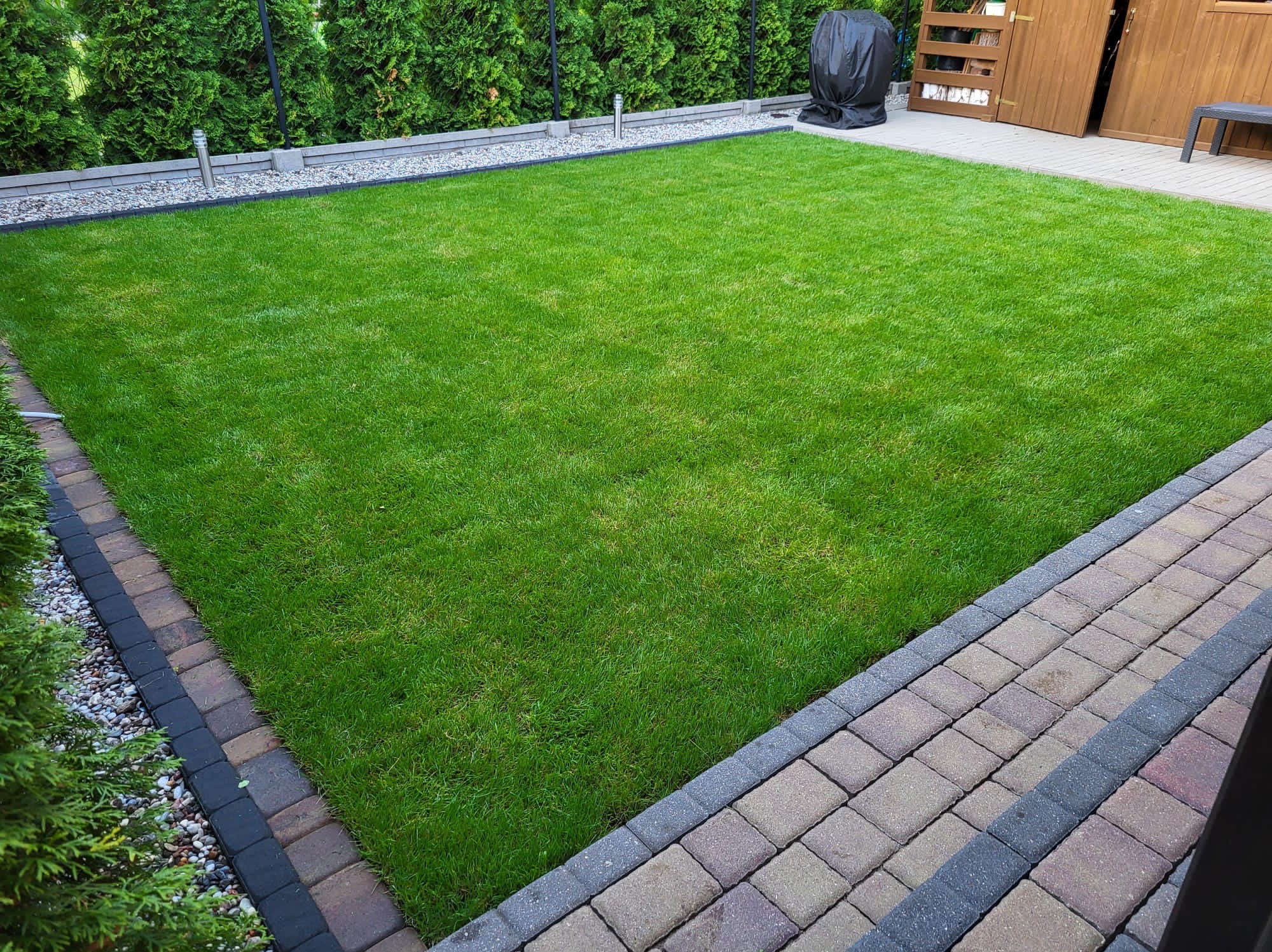 Zadbany trawnik z równo przystrzyżoną trawą, obrzeża z kostki brukowej, tuje w tle. Widok z poziomu chodnika, słoneczny dzień.