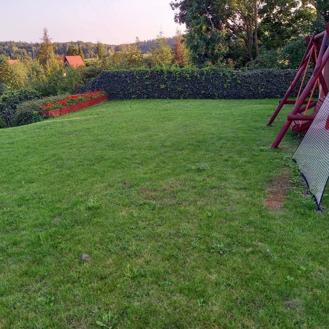 Zadbany trawnik z żywopłotem i rabatą kwiatową w tle, huśtawka po prawej. Widok na zielony ogród z elementami architektury krajobrazu i placem zabaw.