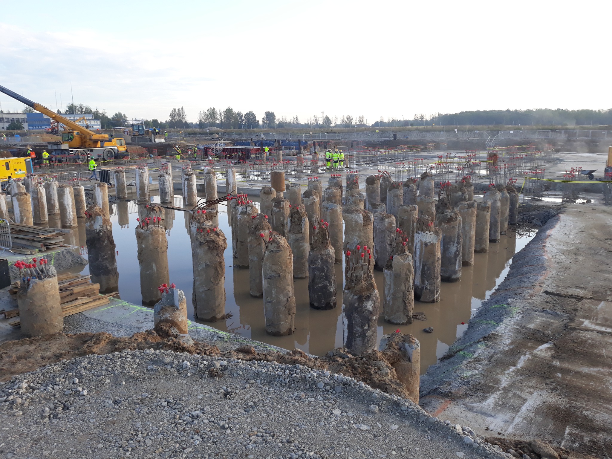 Betonowe pale fundamentowe wystające z wody na placu budowy, widoczny dźwig i pracownicy w odblaskowych ubraniach. W tle drzewa i niebo.