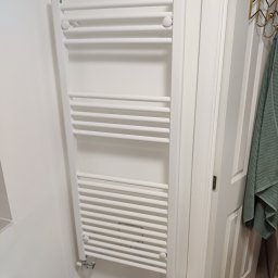 DM Renovations - Biały, drabinkowy grzejnik łazienkowy zamontowany na ścianie, z widocznymi zaworami i fragmentem drzwi z wieszakiem na ręcznik. Minimalistyczny design, jasne wnętrze.