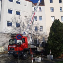 Wycinka drzew Bolesławiec 4