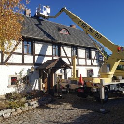 Wycinka drzew Bolesławiec 2