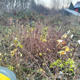 Fundamenty Zbójno 2