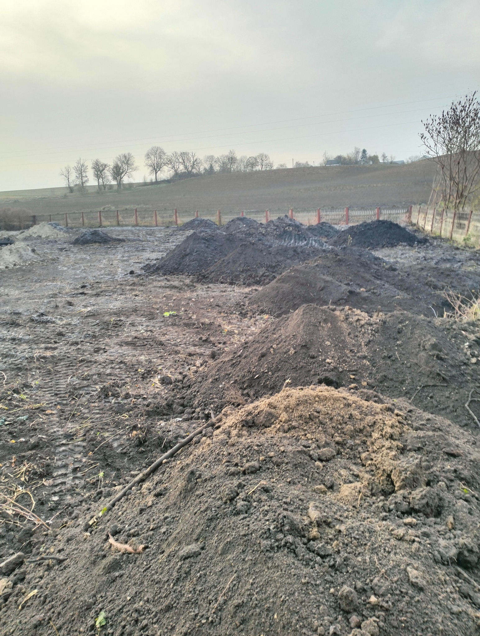 Kupy ziemi na placu budowy, widoczne ślady opon i częściowo ogrodzenie z drewnianych słupków. W tle drzewa i pochmurne niebo. Ziemia ma ciemny, wilgotny kolor.