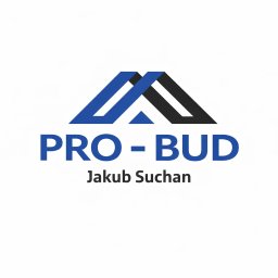 PRO - BUD - Remont Elewacji Chybie