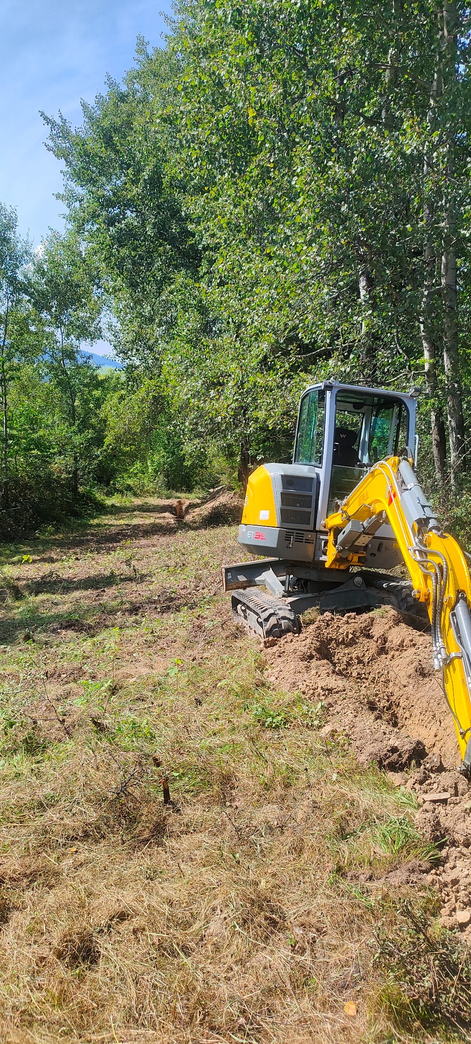 Żółto-szara mini koparka na tle zieleni, częściowo wkopana w ziemię. Widoczny wykopany pas terenu. W tle drzewa i błękitne niebo.