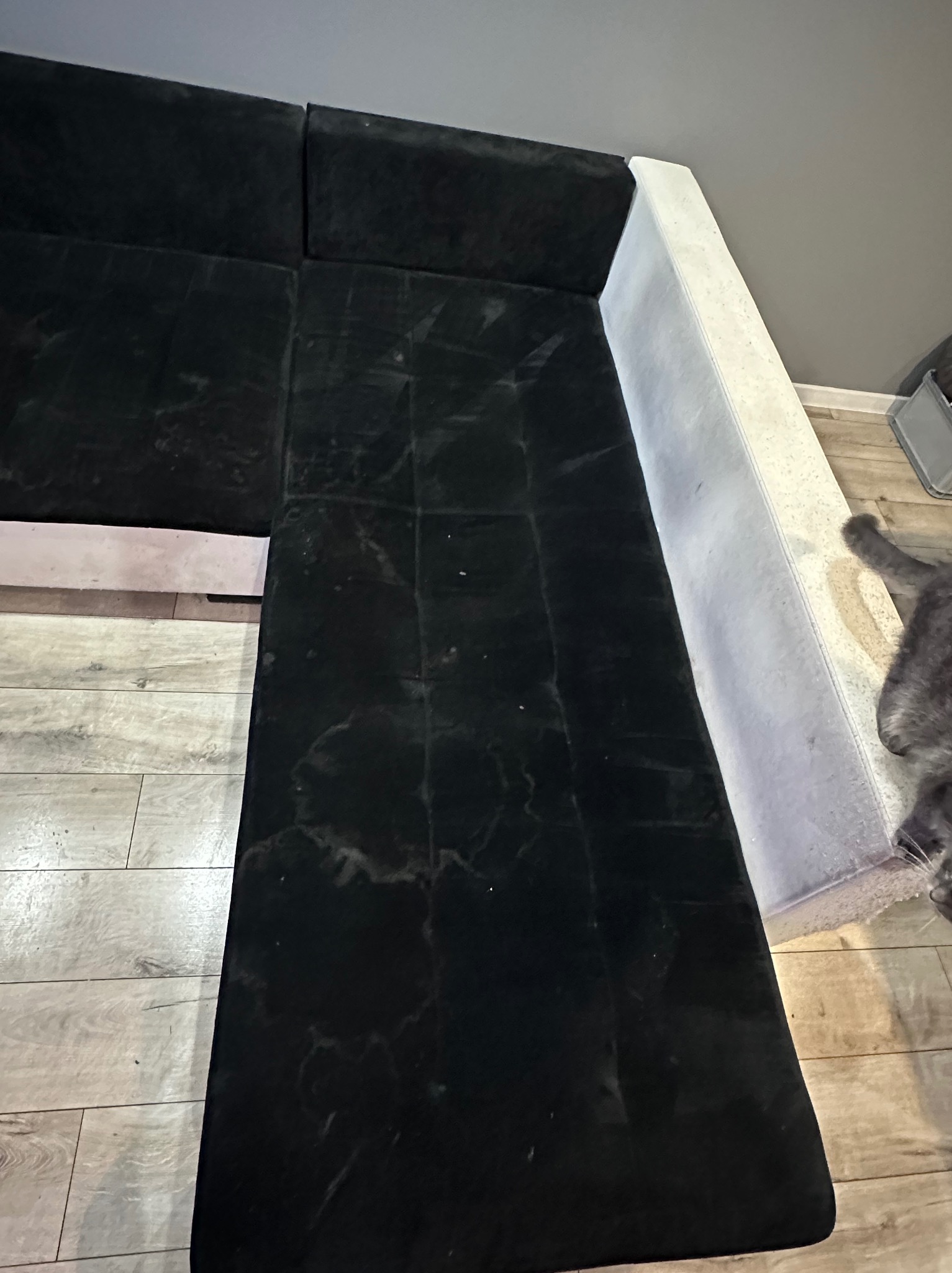 Ciemna, narożna kanapa z welurową tapicerką, widziana z góry, z fragmentem podłogi i szarego kota w prawym dolnym rogu. Widoczne ślady użytkowania na jasnym boku kanapy.