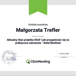 Księgowy Wieszowa 1