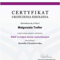 Księgowy Wieszowa 3