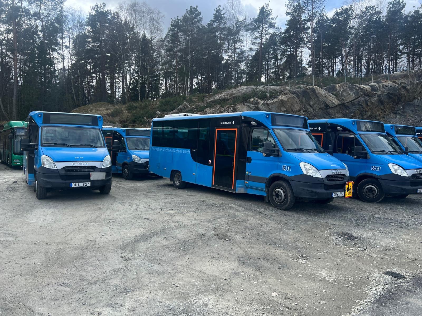 Flota niebieskich busów Iveco z otwartymi drzwiami, zaparkowana na żwirowym placu, z lasem w tle. Jeden bus z symbolem osoby na wózku inwalidzkim.