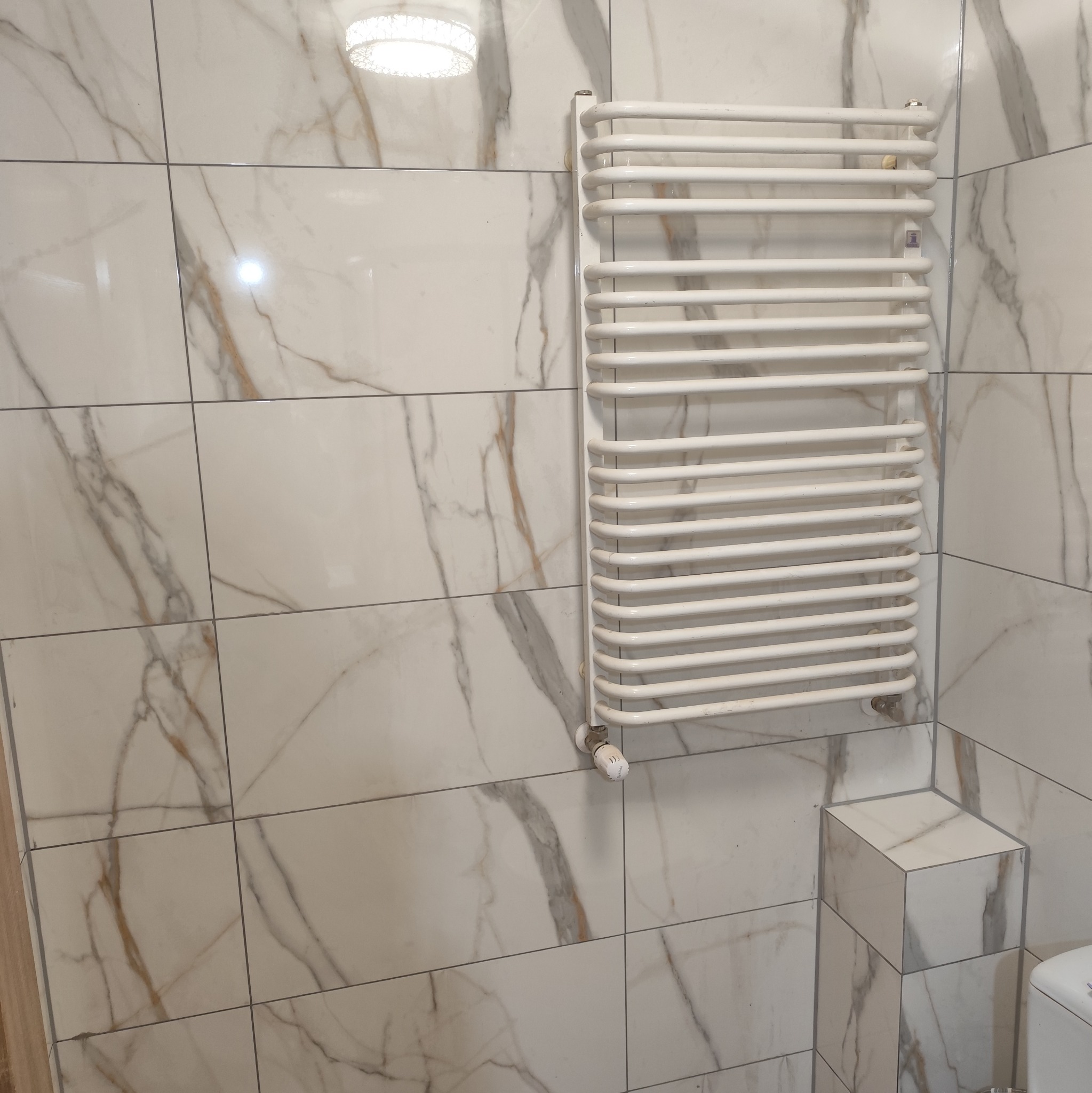 Biały grzejnik drabinkowy na ścianie wyłożonej marmurowymi płytkami w łazience. Widoczny fragment toalety i oświetlenie sufitowe.