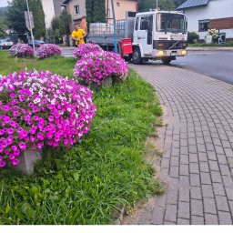 Kiełkujące Kłopoty Rafał Stolarz - Staramy się aby rośliny były w jak najlepszej formie. Zdrowe i silne rośliny to gwarancja jakości