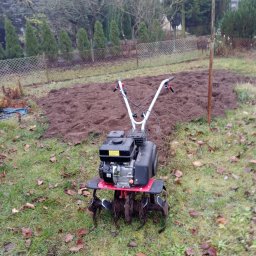 Wycinka drzew Gorzów Wielkopolski 3