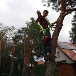 Krzysztof Fesztyński - Prace działkowe Gorz&oacute;w Wielkopolski