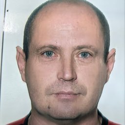 Paweł Niedźwiadek - Wycinka Drzew Piotrk&oacute;w Pierwszy