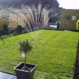 Wycinka drzew Brzeszcze 1