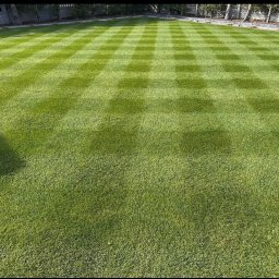 Wycinka drzew Brzeszcze 4