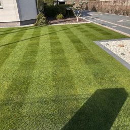 Wycinka drzew Brzeszcze 2