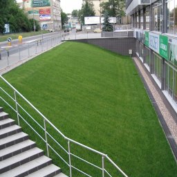 F.H.U Dębowa Kraina - Zadbany trawnik na skarpie przy budynku biurowym, widok z góry ze schodów z metalową barierką. Równa, zielona powierzchnia trawy.