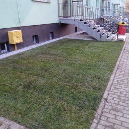 F.H.U Dębowa Kraina - Świeżo założony trawnik z rolki przy budynku mieszkalnym, obok schodów i chodnika z kostki. Żółta skrzynka gazowa przy ścianie. Widok z góry.