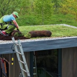 Wycinka drzew Brzeszcze 2