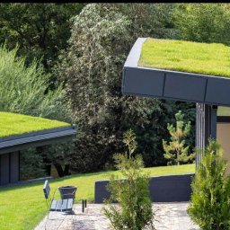 Wycinka drzew Brzeszcze 1