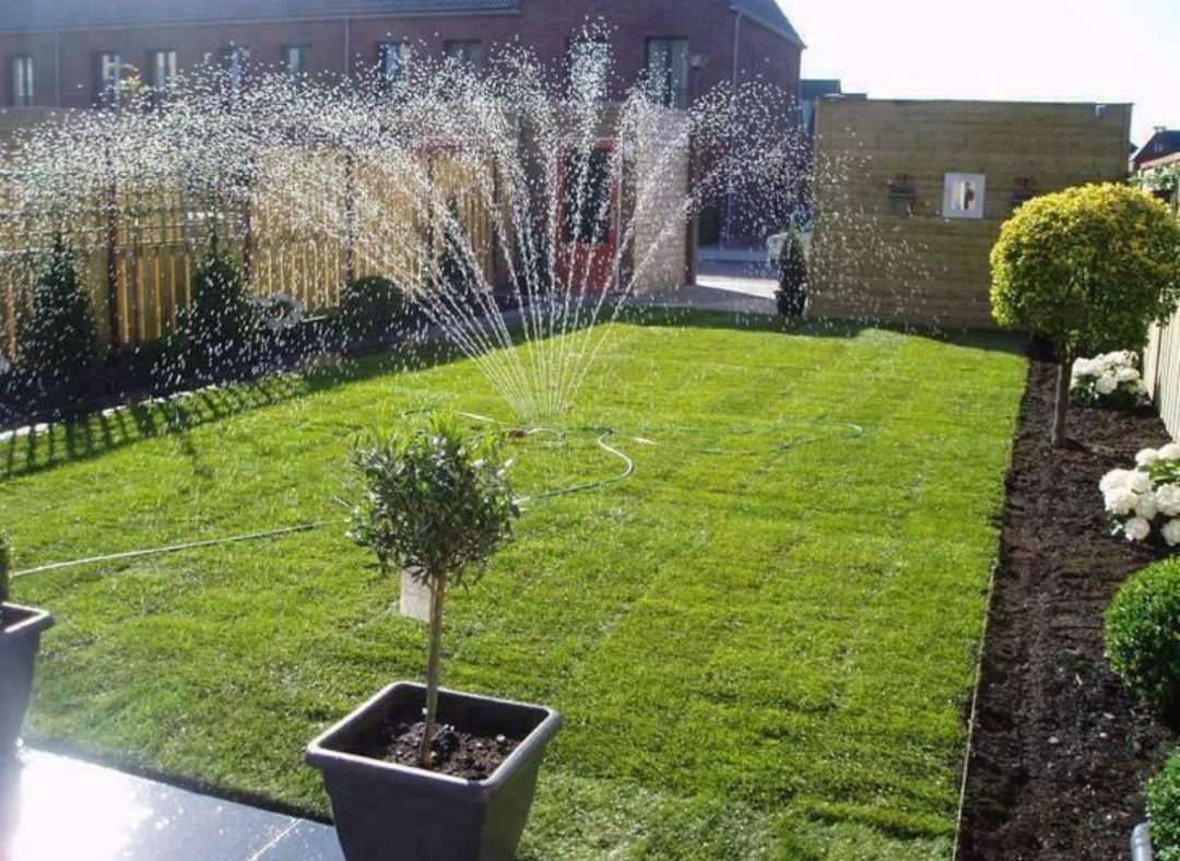 Nawadnianie trawnika zraszaczem na tle zadbanego ogrodu z tujami i kostką. W tle widoczny dom z czerwonej cegły i drewniane ogrodzenie.