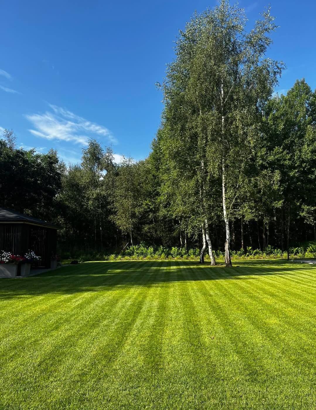 Perfekcyjnie skoszony trawnik z wyraźnymi pasami, otoczony drzewami i altaną z kwiatami w słoneczny dzień. Idealny zielony dywan.