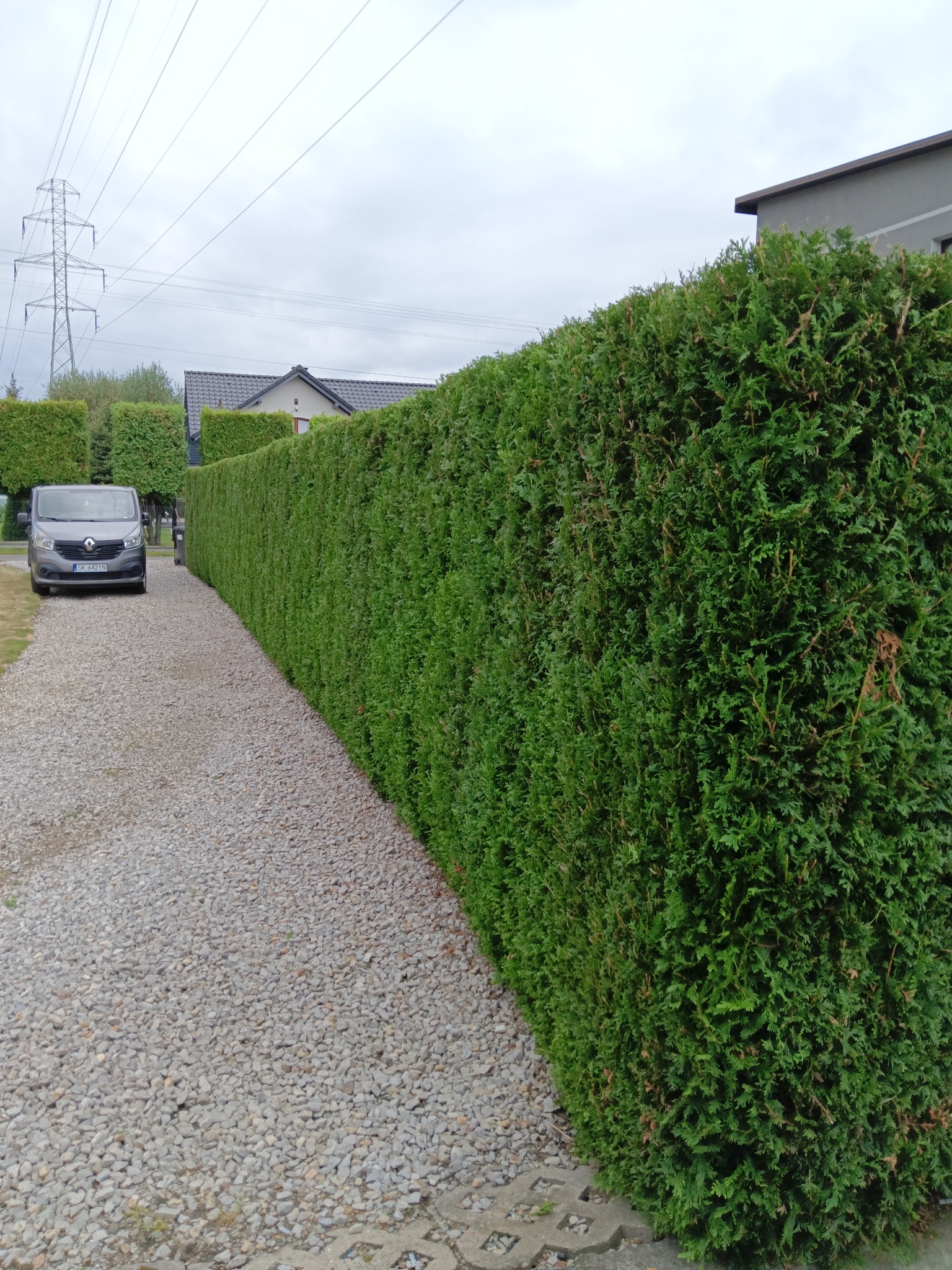 Długi, równo przycięty żywopłot z tui szmaragdowej oddzielający posesję od żwirowej drogi dojazdowej. W tle zaparkowany szary van i słupy wysokiego napięcia.