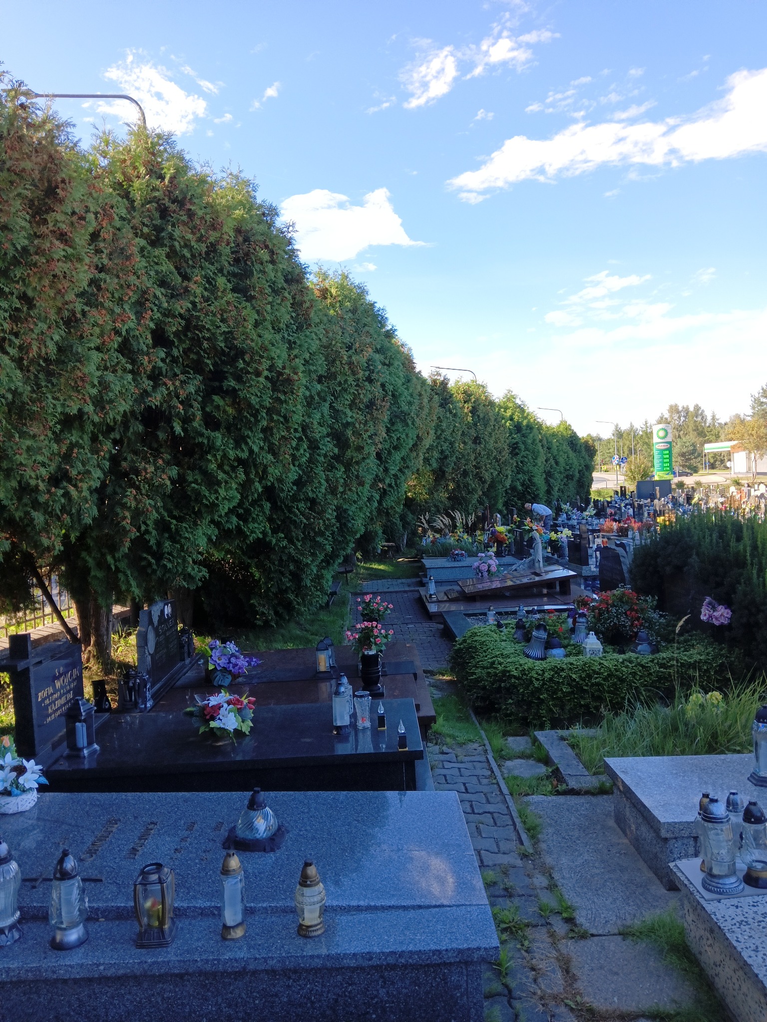 Cmentarz z rzędem wysokich, zielonych tuj wzdłuż ścieżki, nagrobki z kwiatami i zniczami, błękitne niebo z chmurami w tle. Widok na stację benzynową w oddali.