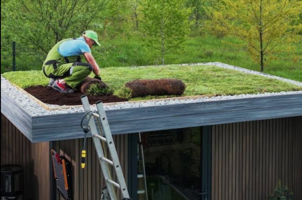 Układanie trawy z rolki na dachu budynku przez ogrodnika w zielonym kombinezonie. Widoczna drabina i rolki trawy. Dach wykończony drobnymi kamieniami.
