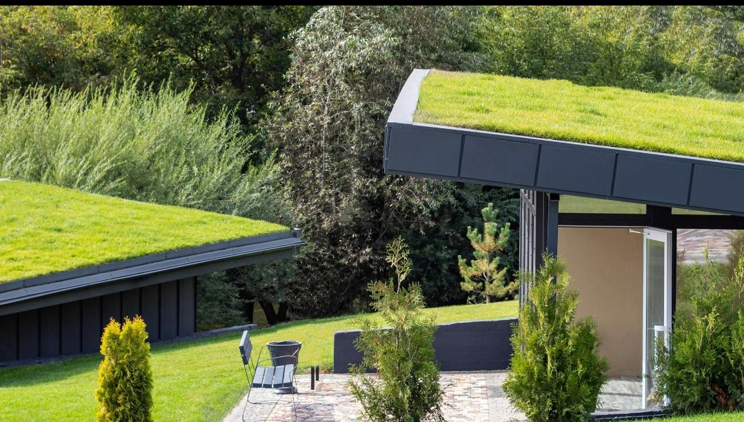 Nowoczesny dom z zielonym dachem, trawnik i ozdobne krzewy. Architektura ekologiczna wkomponowana w krajobraz. Widok z zewnątrz, słoneczny dzień.