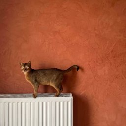 Wykończenia wnętrz Wrocław 1