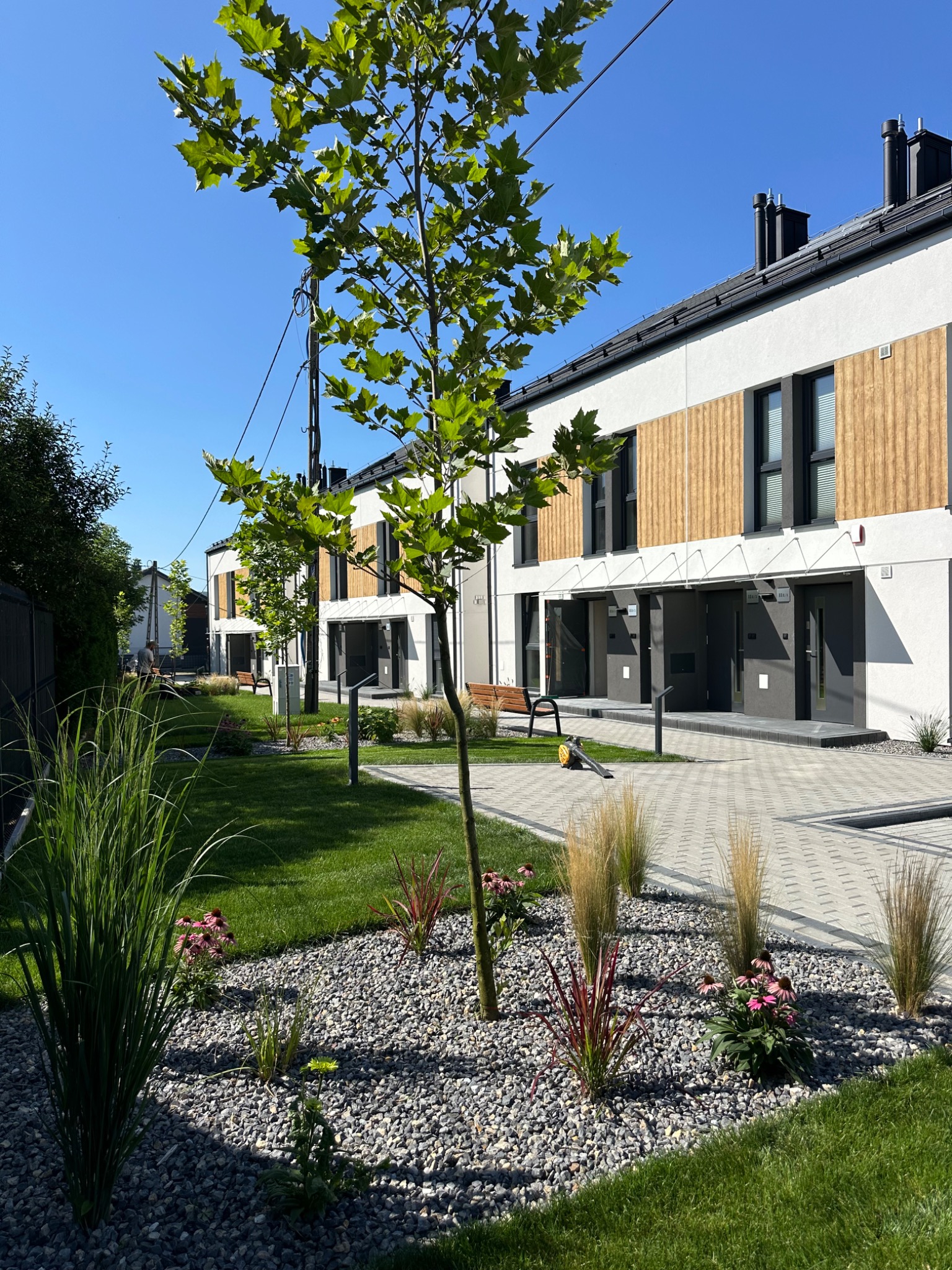 Nowoczesne szeregówki z elementami drewna, zadbany trawnik, ozdobne kamienie i rośliny. Architektura osiedla z zielenią w słoneczny dzień.